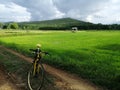 Mountain bike road tree Royalty Free Stock Photo