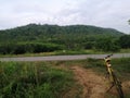 Mountain bike road tree Royalty Free Stock Photo