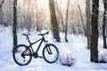 Mountain Bike on the Snowy Trail in the Beautiful Winter Forest Lit by Sun Royalty Free Stock Photo