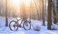 Mountain Bike on the Snowy Trail in the Beautiful Winter Forest Lit by Sun Royalty Free Stock Photo