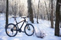 Mountain Bike on the Snowy Trail in the Beautiful Winter Forest Lit by Sun Royalty Free Stock Photo