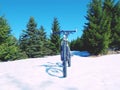 Bike stay in snow