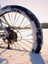 Mountain bike stay in powder snow. Snow flakes melting on dark off road tyre.