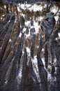 Mountain bike tracks in puddles on the muddy road Royalty Free Stock Photo