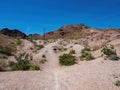 Mountain Bike Trails along the Bootleg Canyon