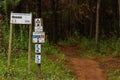 Mountain bike trails in the Karkloof forests