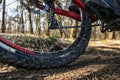 Mountain bike tyre close-up on a trail Royalty Free Stock Photo