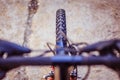 Mountain bike tyres outside, blurry handlebar, summer day, city mobility Royalty Free Stock Photo