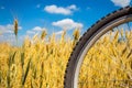 Mountain bike wheel on background of outdoor rural landscape of Royalty Free Stock Photo