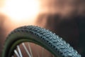 Mountain bike wheel tire protector. Bicycle tire close-up against the background of beautiful yellow lighting. Bicycle repair Royalty Free Stock Photo