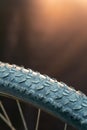 Mountain bike wheel tire protector. Bicycle tire close-up against the background of beautiful yellow lighting. Bicycle repair Royalty Free Stock Photo