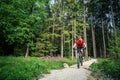 Mountain biker cycling riding in green forest Royalty Free Stock Photo