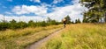 Mountain biker cycling riding in mountains and woods Royalty Free Stock Photo