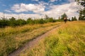 Mountain biker cycling riding in mountains and woods Royalty Free Stock Photo