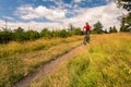 Mountain biker cycling riding in mountains and woods Royalty Free Stock Photo