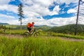 Mountain biker cycling riding in woods and mountains Royalty Free Stock Photo