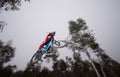 Mountain biker Royalty Free Stock Photo