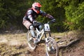 Mountain biker on downhill rce Royalty Free Stock Photo