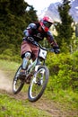 Mountain biker on downhill rce Royalty Free Stock Photo