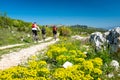 Mountain biker driving in Istria to mountain Sisol, Ucka Park