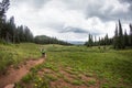 Mountain Biker rides down singletrack trail