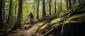 Mountain biker riding on bike in spring inspirational forest landscape. Man cycling MTB on enduro trail track. Sport Royalty Free Stock Photo