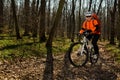 Mountain biker riding on bike in springforest landscape. Royalty Free Stock Photo