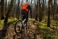 Mountain biker riding on bike in springforest landscape. Royalty Free Stock Photo