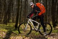 Mountain biker riding on bike in springforest landscape. Royalty Free Stock Photo