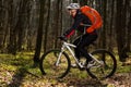 Mountain biker riding on bike in springforest landscape. Royalty Free Stock Photo