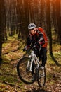 Mountain biker riding on bike in springforest landscape. Royalty Free Stock Photo