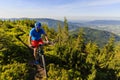 Mountain biker riding on bike in summer mountains forest landscape. Man cycling MTB flow trail track. Outdoor sport activity. Royalty Free Stock Photo