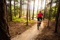 Mountain biker riding cycling in summer forest Royalty Free Stock Photo