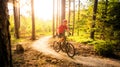 Mountain biker riding cycling in summer forest Royalty Free Stock Photo
