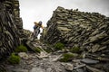 Mountain biker riding between dry stone walls