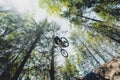 Mountain biker riding on a forest dirt trail.