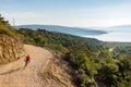 Mountain biker riding on mtb bike in woods