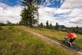 Mountain biker riding MTB in mountains and woods Royalty Free Stock Photo