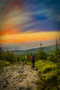 Mountain biker riding at sunset on bike in summer mountains fore