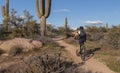 Mountain Biker Riding Up Hill Trail In Scottsdale, Arizona