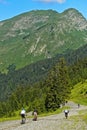 Mountain bikers on an alpine downhill trail in the Chablais Alps, France Royalty Free Stock Photo