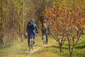 Mountain bikers biking in Alborz mountains during colorful autumn