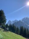 Mountain Biking in the Alps Royalty Free Stock Photo