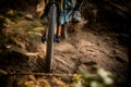 Mountain biking close up of the tire and fork Royalty Free Stock Photo