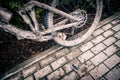 Mountain biking, dirty and broken bicycle closeup