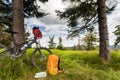 Mountain biking equipment in the woods, bikepacking