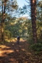 Mountain biking in the forest