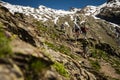 Mountain Bikers on a High Alpine Trail Royalty Free Stock Photo