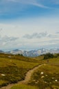 Mountain Biking on Frisby Ridge Trail