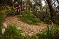 Mountain Biker riding a turn in dense pine forest